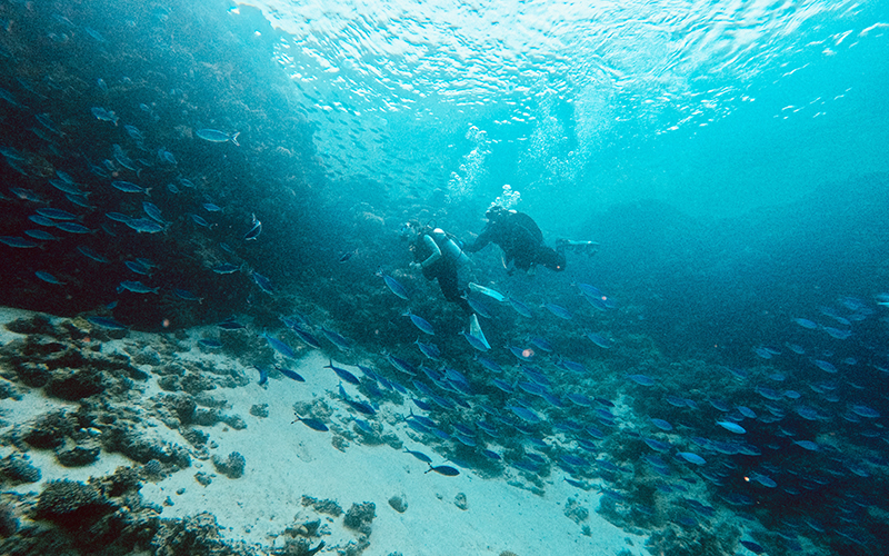 Fun dive at Blue Hole Dahab