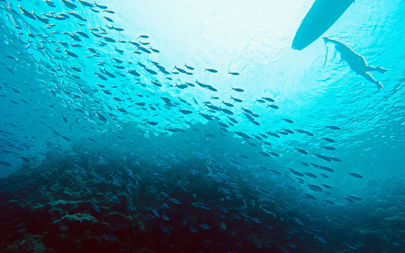 Blue Hole dive site Dahab Egypt